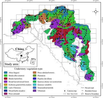 Coexistence patterns of sympatric <mark class="highlighted">giant pandas</mark> (Ailuropoda melanoleuca) and Asiatic black bears (Ursus thibetanus) in Changqing National Nature Reserve, China